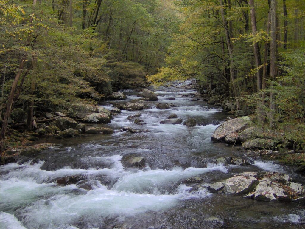 Big Creek at the Baxter Creek Trail crossing in Great Smoky Mountains National Park