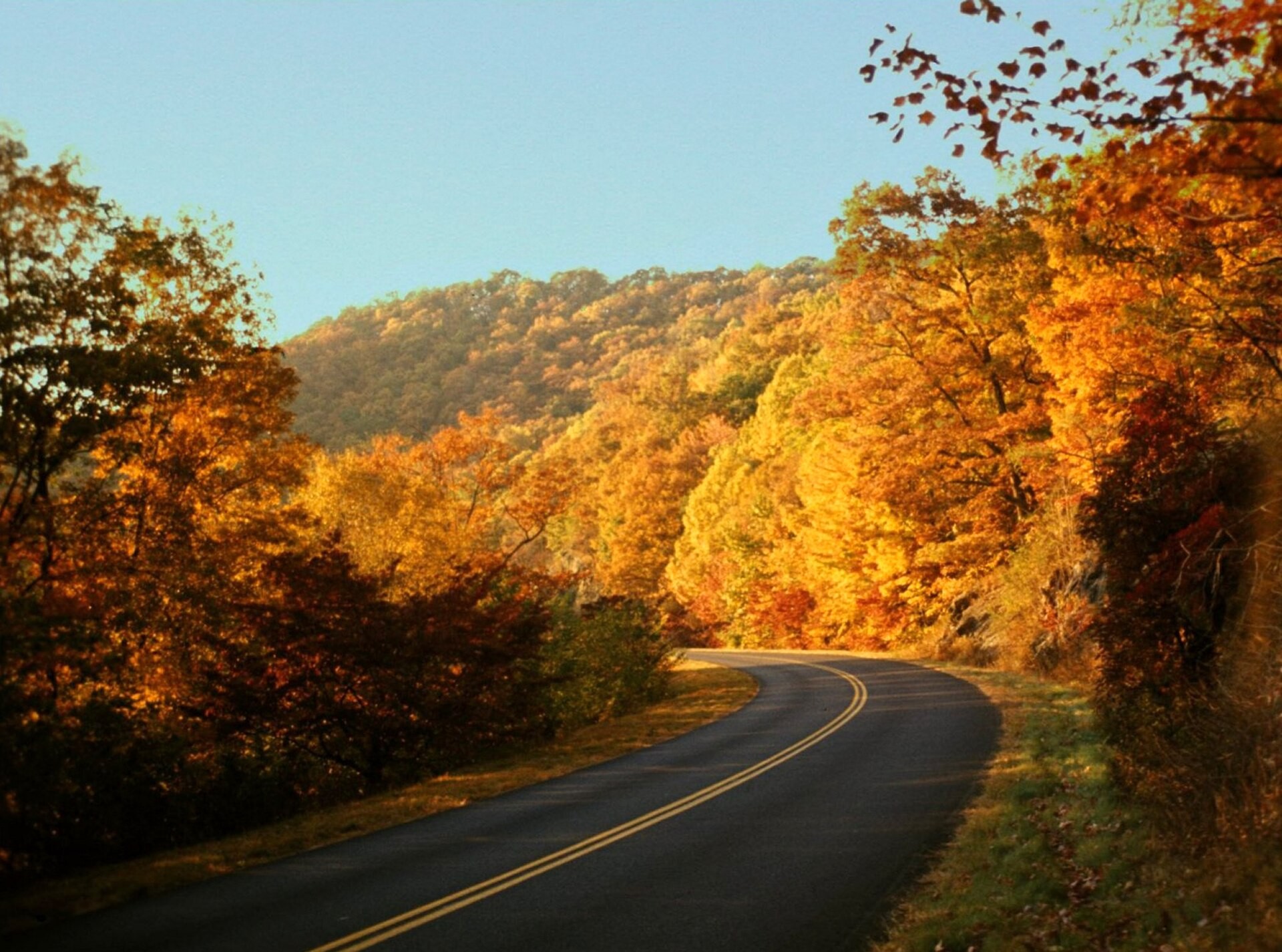 Autumn color along the Blue Ridge Parkway