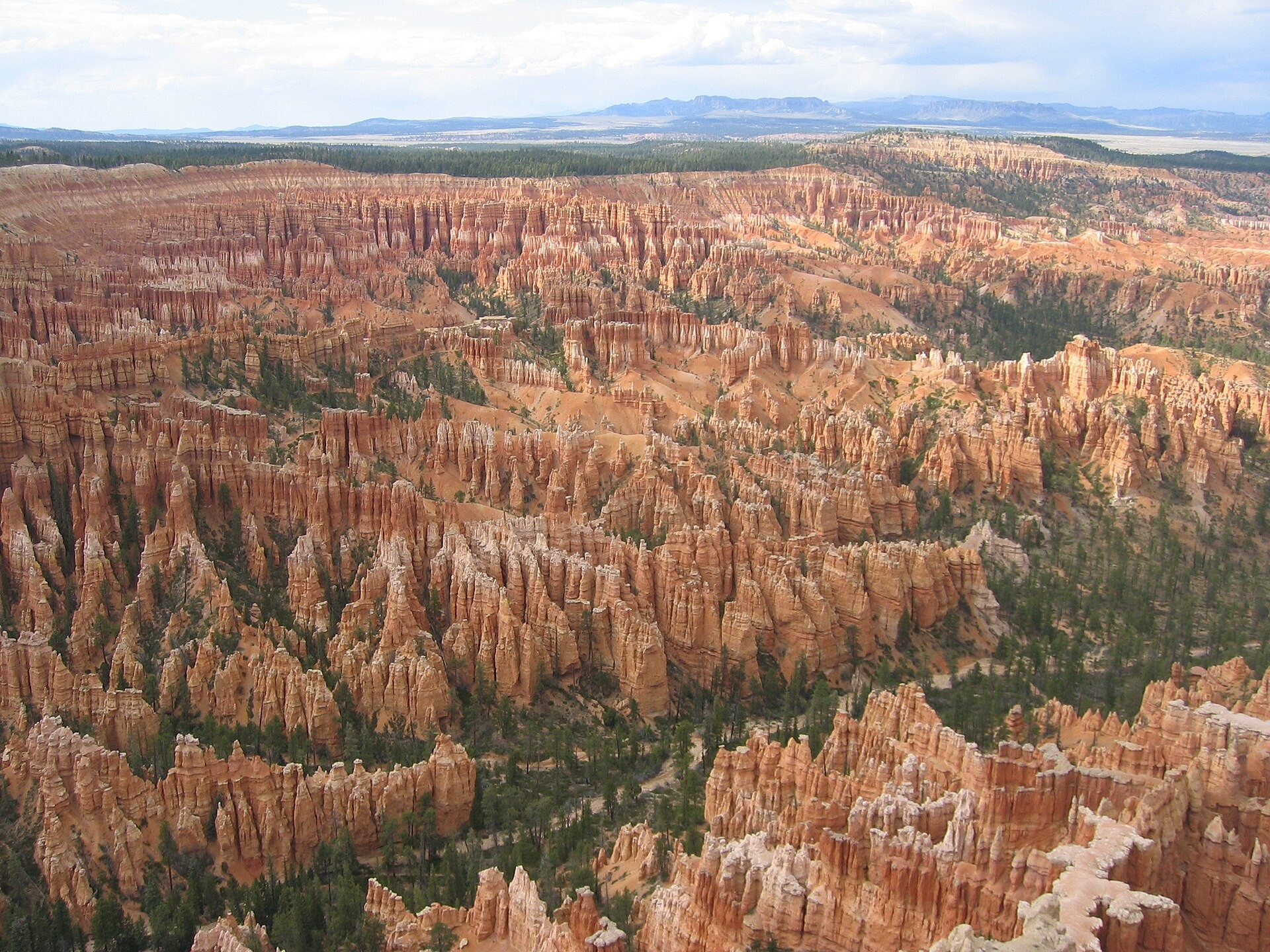 Hoodoos in the Bryce Amphitheater in Bryce Canyon National Park, Utah