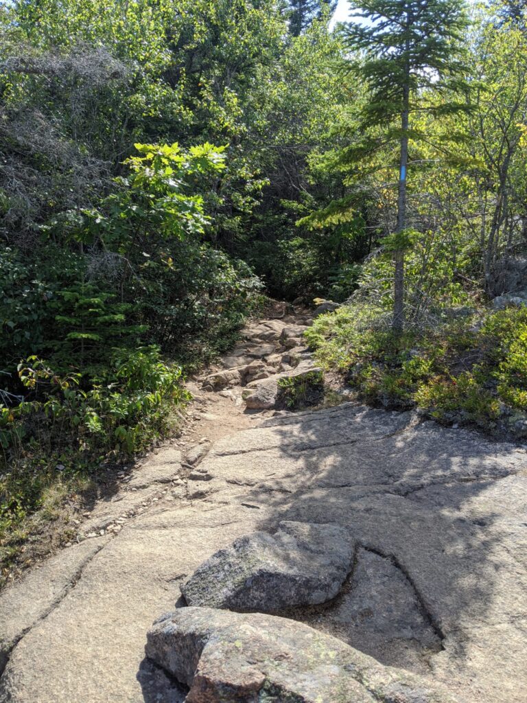 Granite ledges and a rocky path along the Cadillac North Ridge Trail in Acadia National Park
