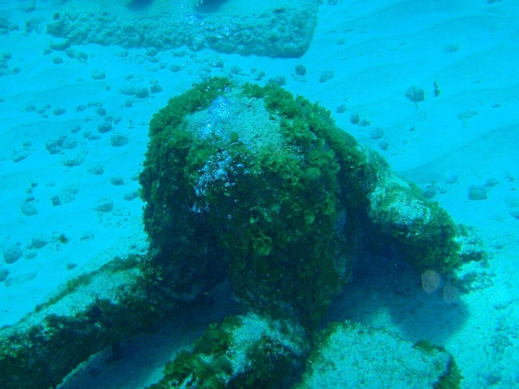 Algae-covered sculpture resting on the seafloor in clear blue water at the MUSA museum off Cancun
