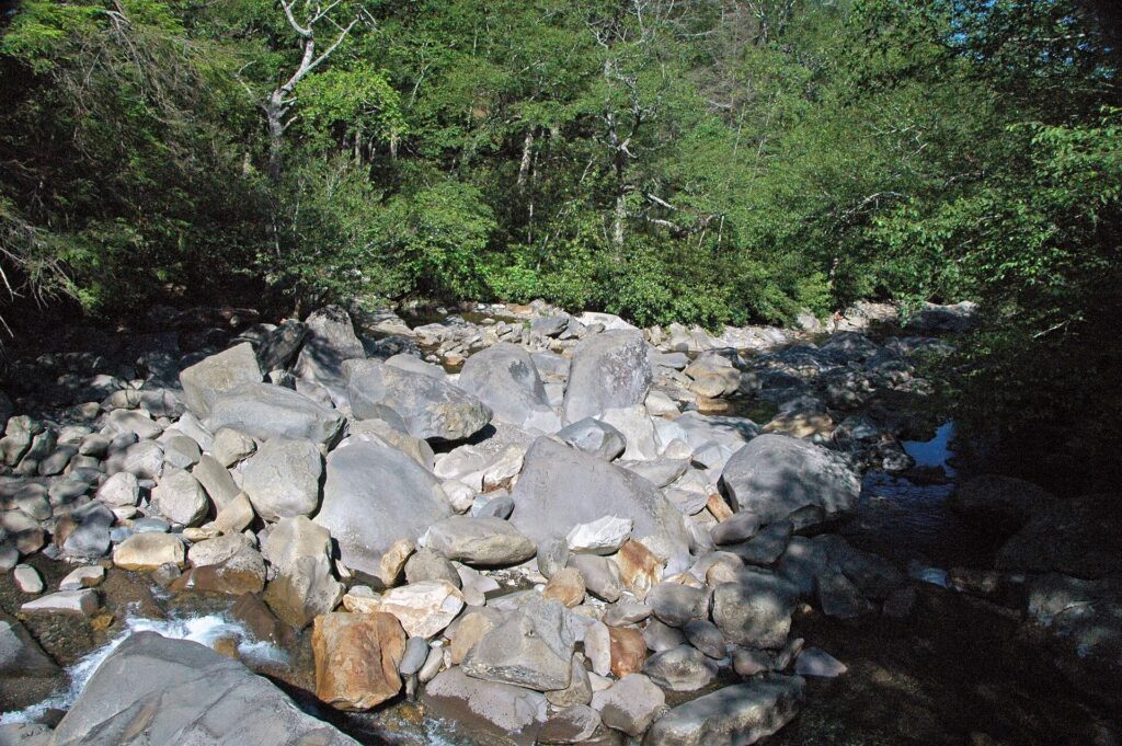 Gray boulders filling the Road Prong streambed beside the Chimney Tops Trail in Great Smoky Mountains National Park