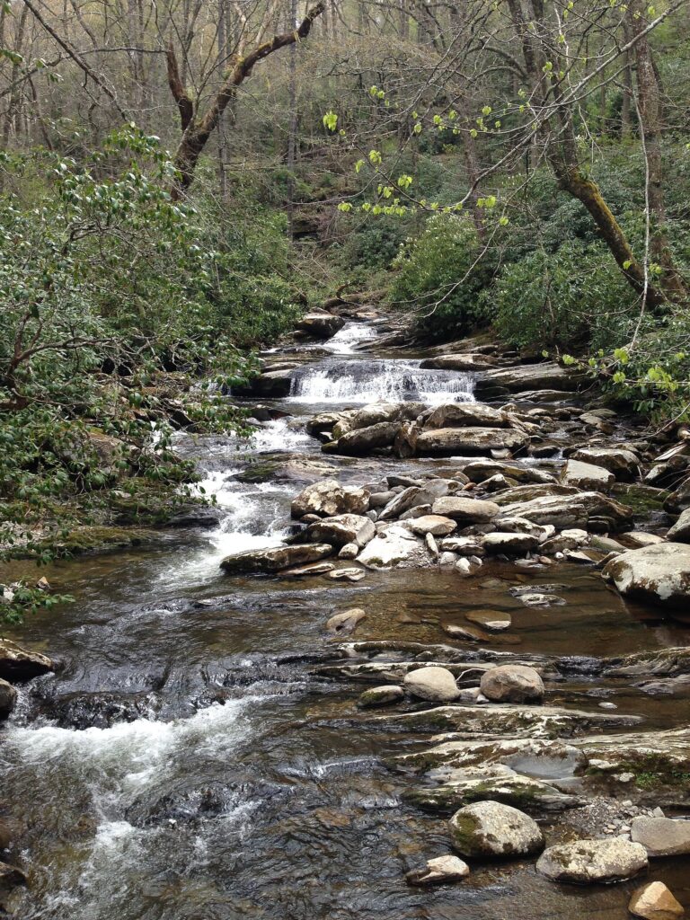 Stream running along the trail to Chimney Tops in Great Smoky Mountains National Park