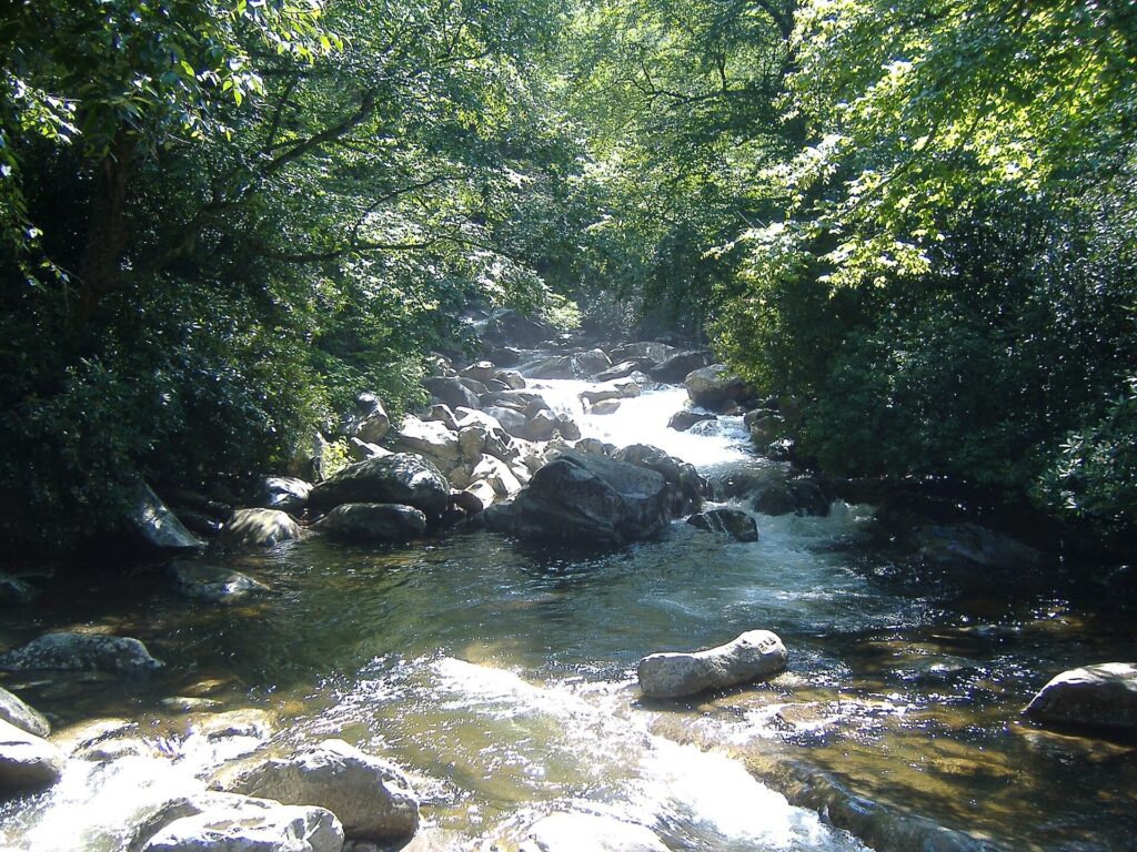 River with boulders and rapids running through leafy forest beside the Chimney Tops trail in Great Smoky Mountains National Park