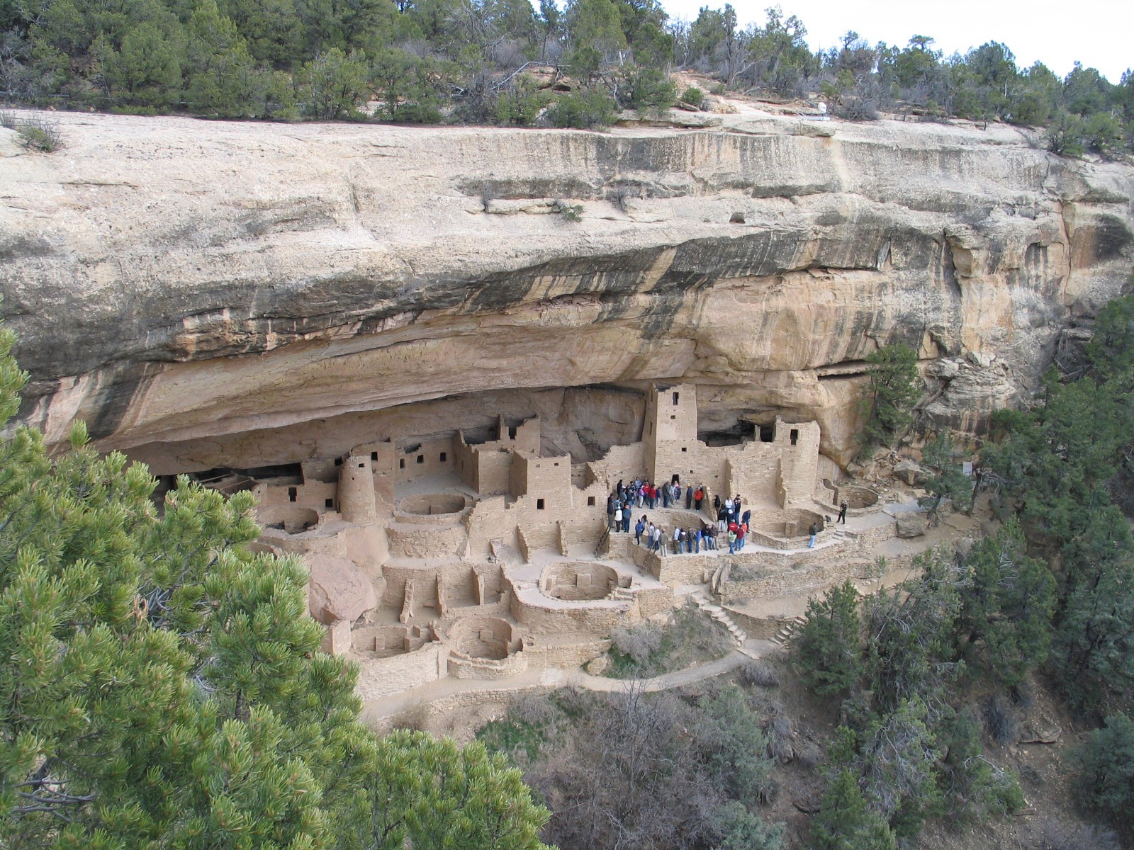 Cliff Palace cliff dwelling tucked under a sandstone alcove at Mesa Verde National Park