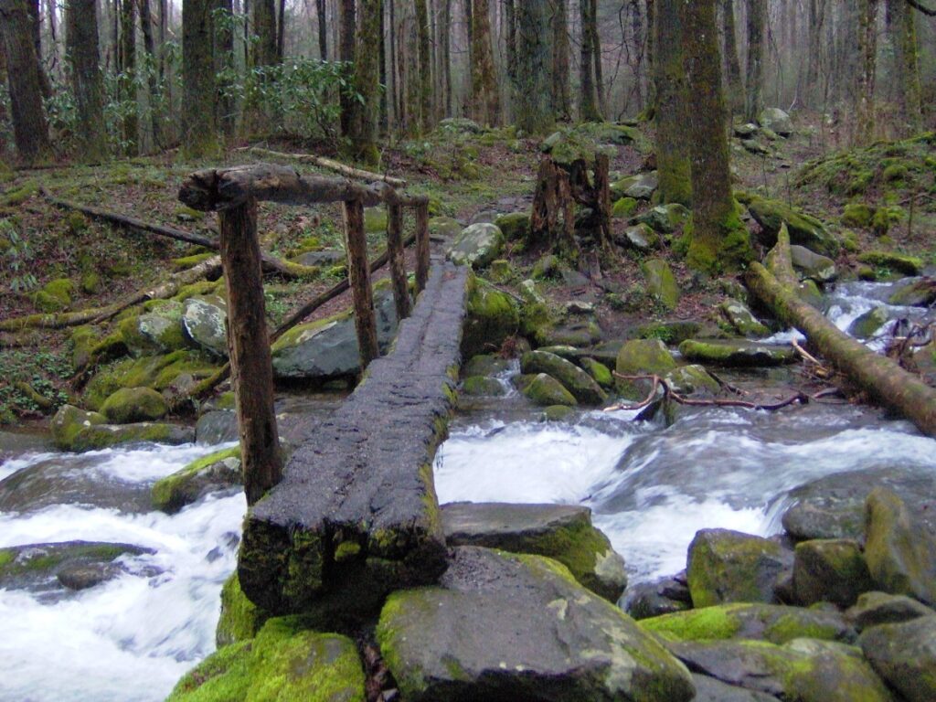 Footbridge over Cosby Creek near the Low Gap trailhead in the Cosby area of Great Smoky Mountains National Park