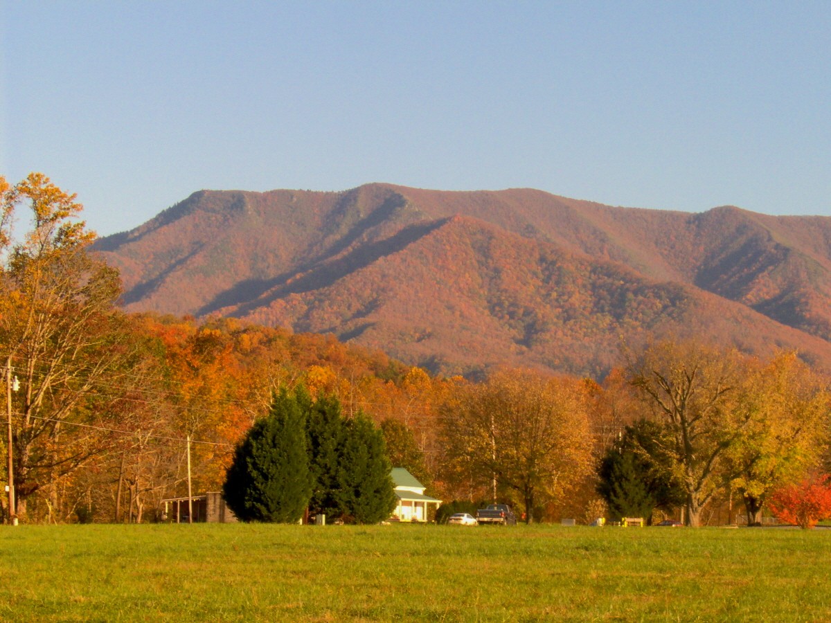 Mount Cammerer rising above the forested ridgeline, seen looking south from the Cosby area of Great Smoky Mountains National Park