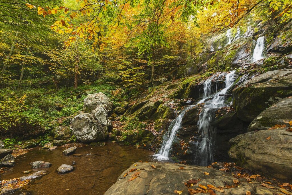 Dark Hollow Falls cascading over rock ledges in Shenandoah National Park