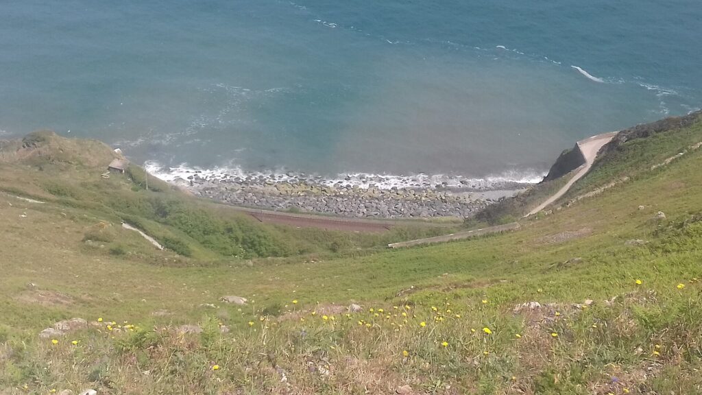 Grassy slope and shingle beach seen from Bray Head on the Wicklow coast