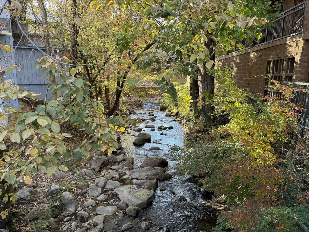 Le Conte Creek running through downtown Gatlinburg, Tennessee
