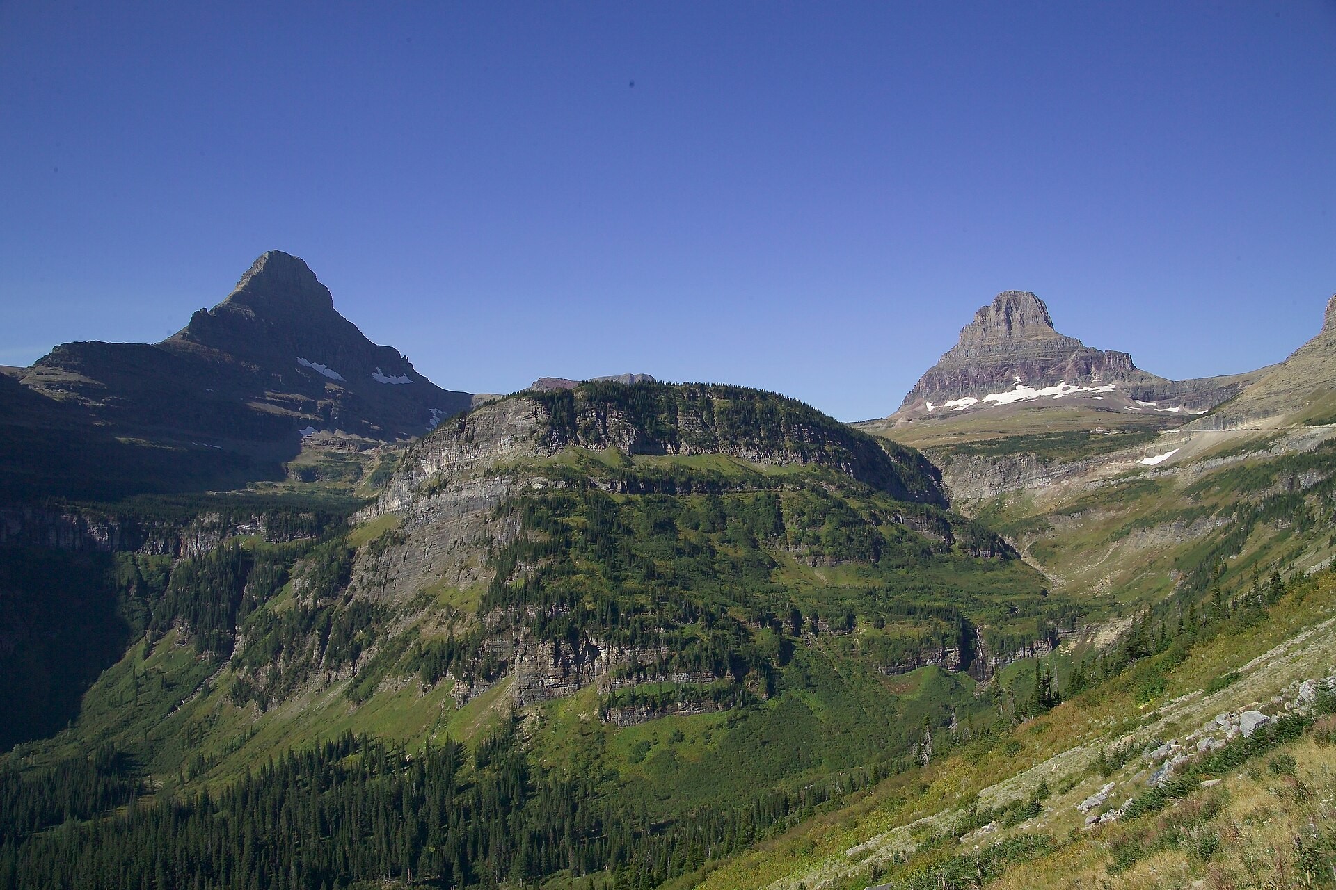 Reynolds and Clements mountains rising above the alpine meadows at Logan Pass, Glacier National Park