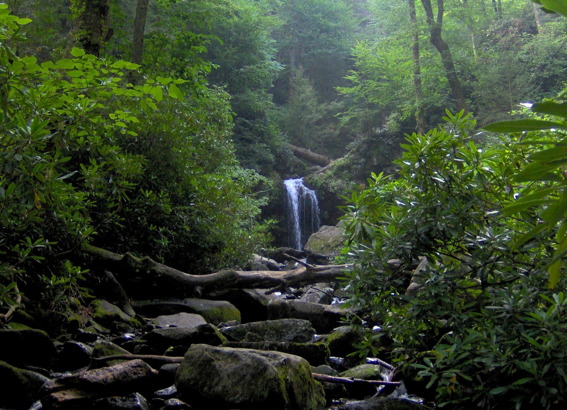 Grotto Falls spilling over a rock ledge into Roaring Fork in the Great Smoky Mountains