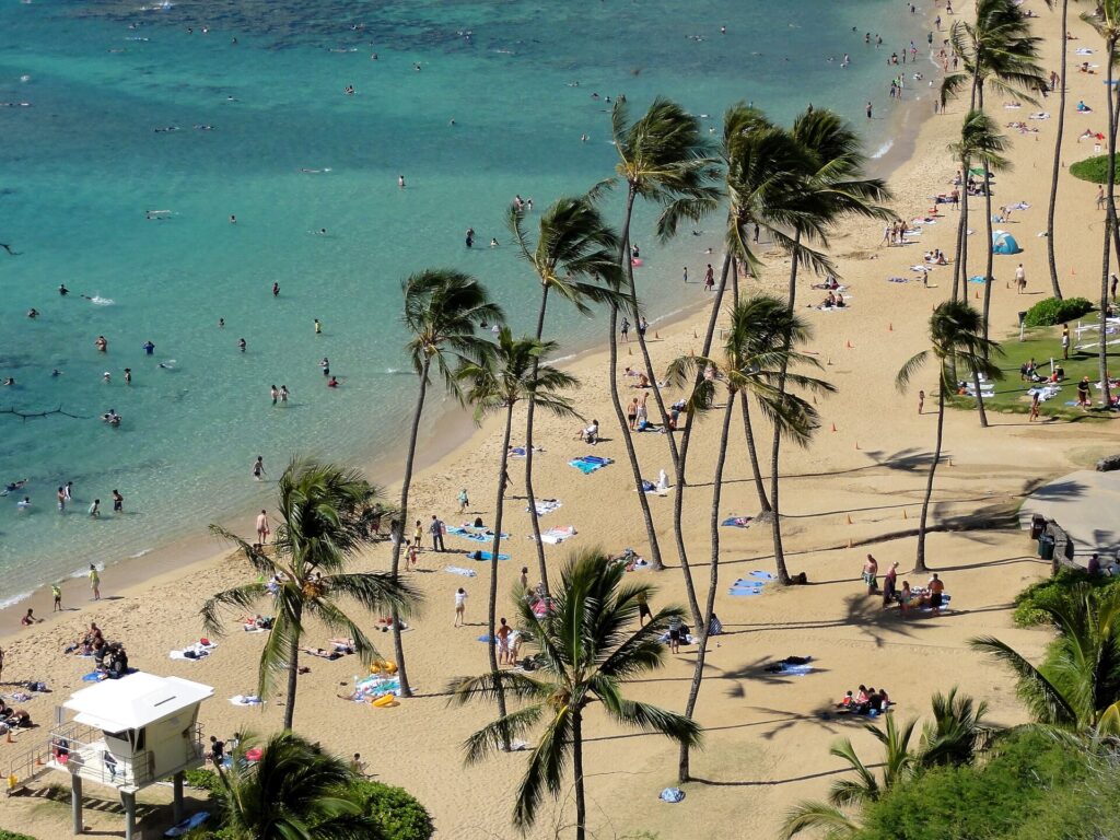 Beach at Hanauma Bay Nature Preserve on Oahu with sand, palms and shallow reef water
