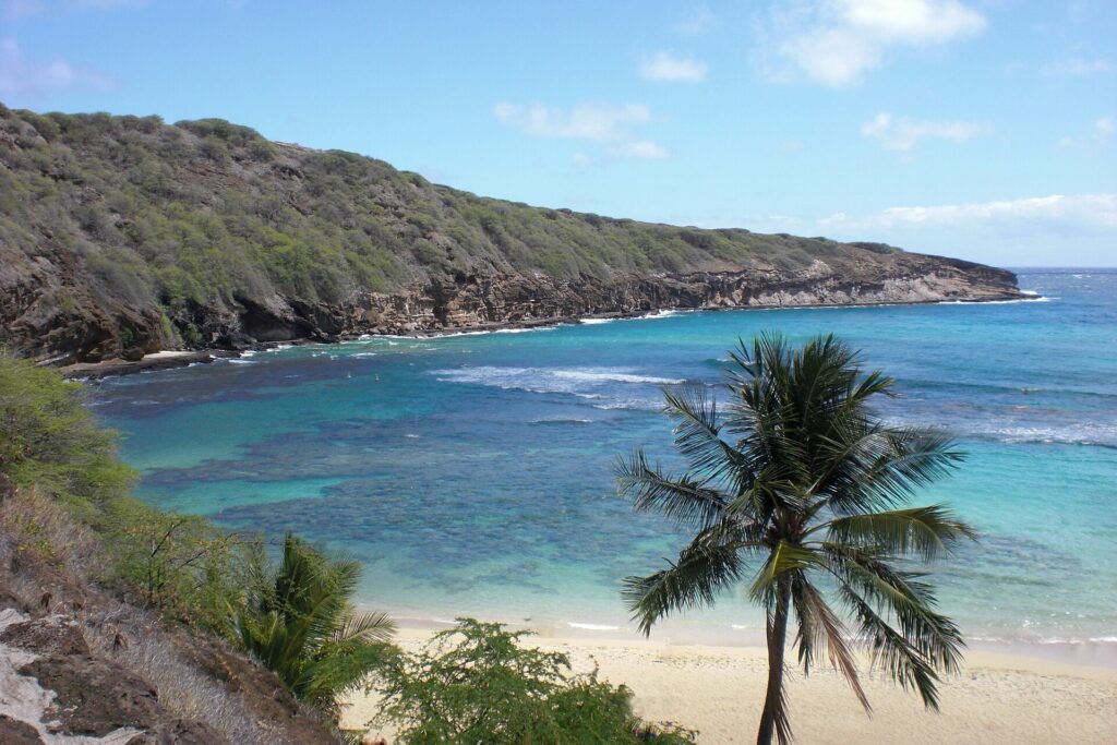 Left side of Hanauma Bay on Oahu with beach, palm and coral reef