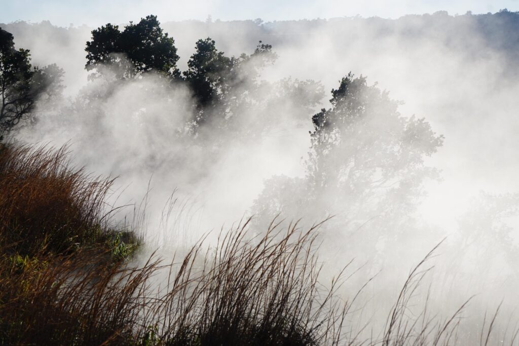 Steam rising from the ground at the steam vents in Hawaii Volcanoes National Park