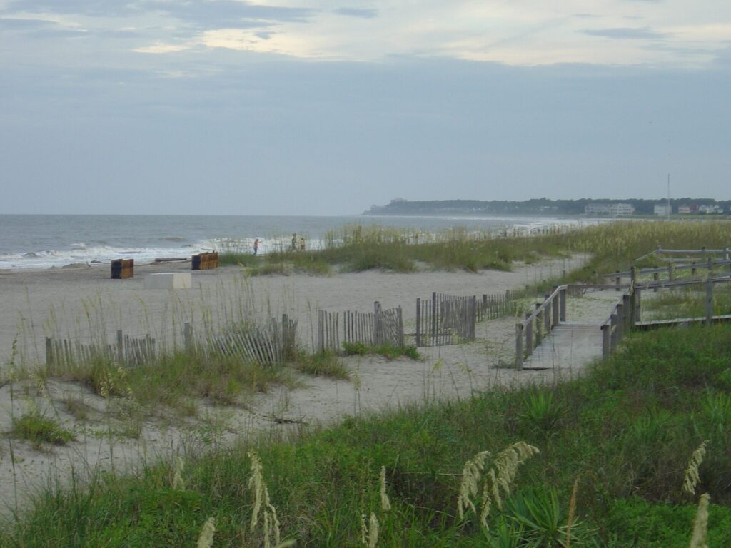 Dune fencing, sea oats and a boardwalk above a sandy beach on Hilton Head Island, South Carolina
