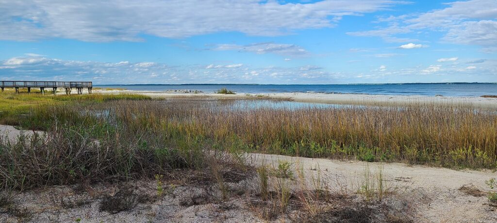Salt marsh grass and a sandy beach at Fish Haul Creek on Hilton Head Island, South Carolina