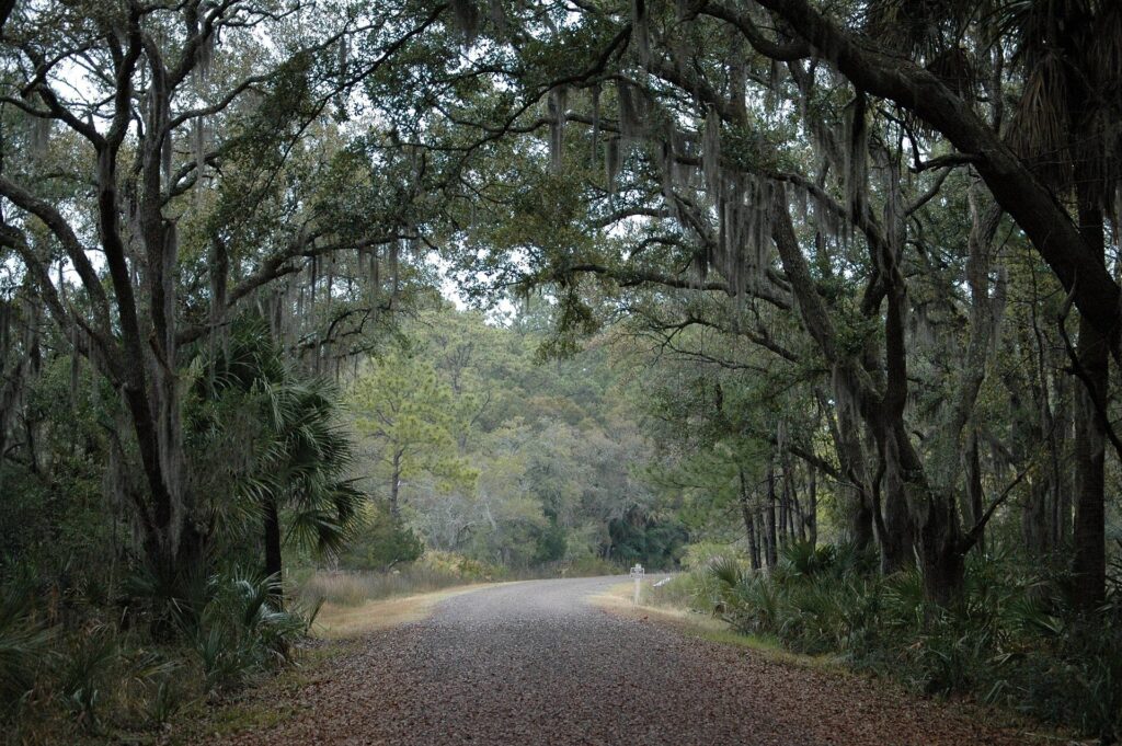 Gravel trail under live oaks draped with Spanish moss at Pinckney Island National Wildlife Refuge, South Carolina
