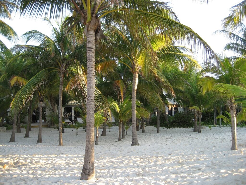 Playa Norte beach on Isla Mujeres