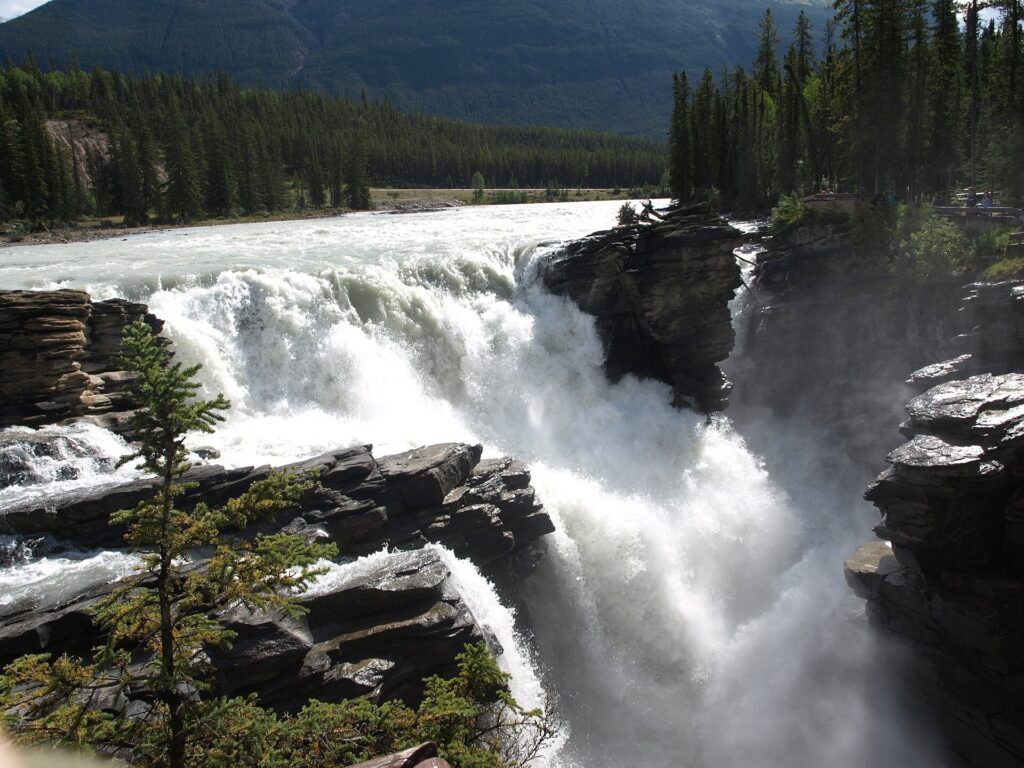 Athabasca Falls pouring through a rock gorge in Jasper National Park