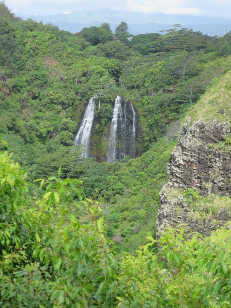 Opaekaa Falls dropping over a green cliff above the Wailua River valley on Kauai