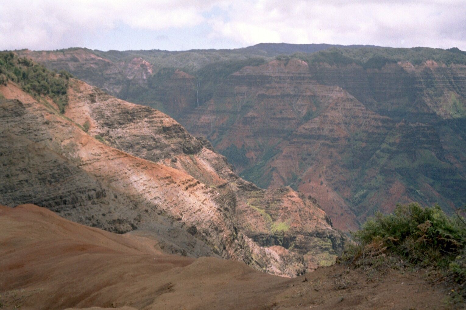 Waimea Canyon on Kauai seen from a lookout, with red and green canyon walls