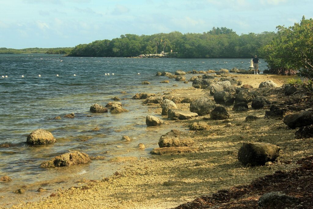 Rocky shoreline and shallow water at Key Largo with mangroves along the far edge