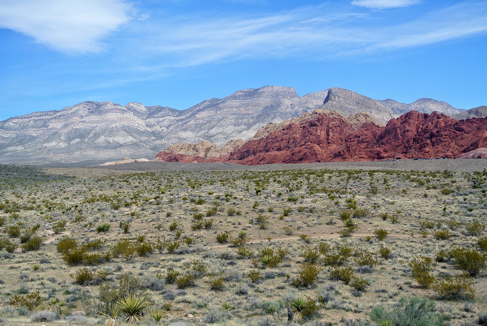 Red sandstone cliffs and desert scrub at Red Rock Canyon National Conservation Area near Las Vegas