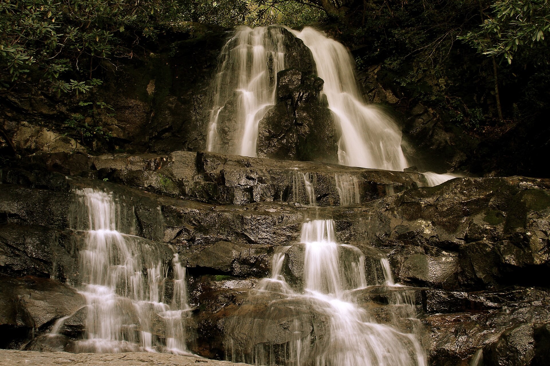 Laurel Falls dropping over rock ledges into a forested ravine in Great Smoky Mountains National Park