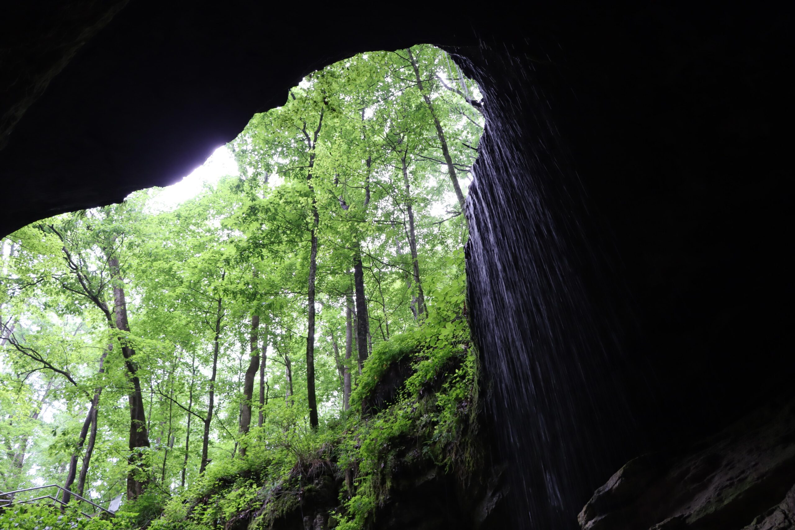 Wooded Historic Entrance of Mammoth Cave in Mammoth Cave National Park, Kentucky
