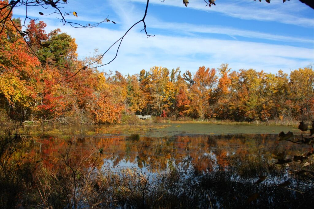 Sloans Pond in autumn at Mammoth Cave National Park, Kentucky