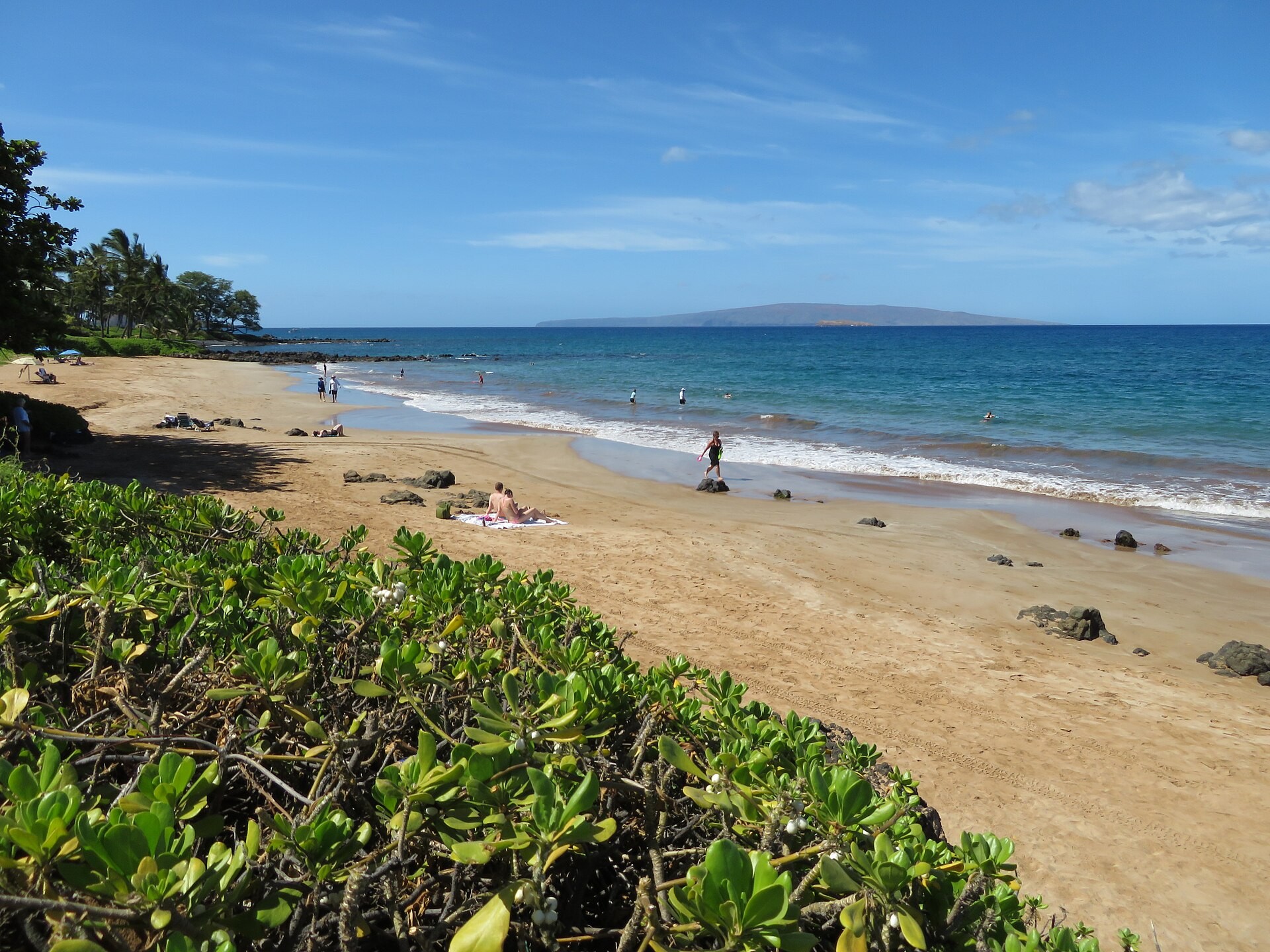 Sandy beach edged with green beach shrubs and a distant island on the horizon at Wailea, Maui