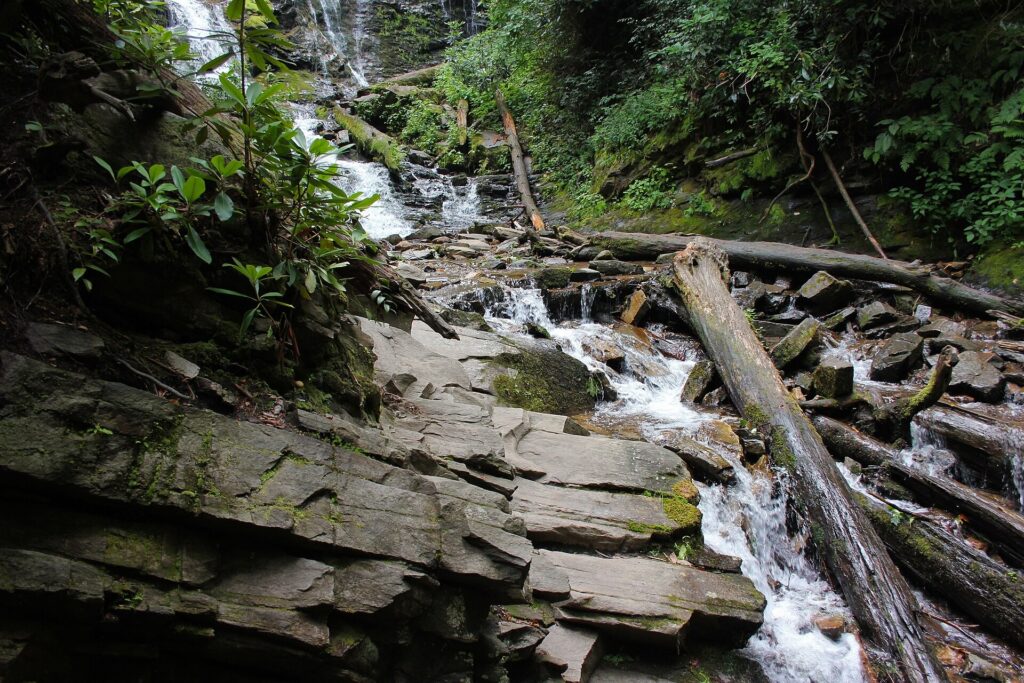 Water spilling over tilted rock ledges and fallen logs in a forest ravine at Mingo Falls
