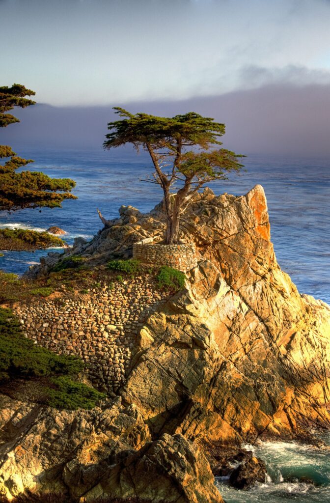 The Lone Cypress on its rock above the ocean along 17-Mile Drive