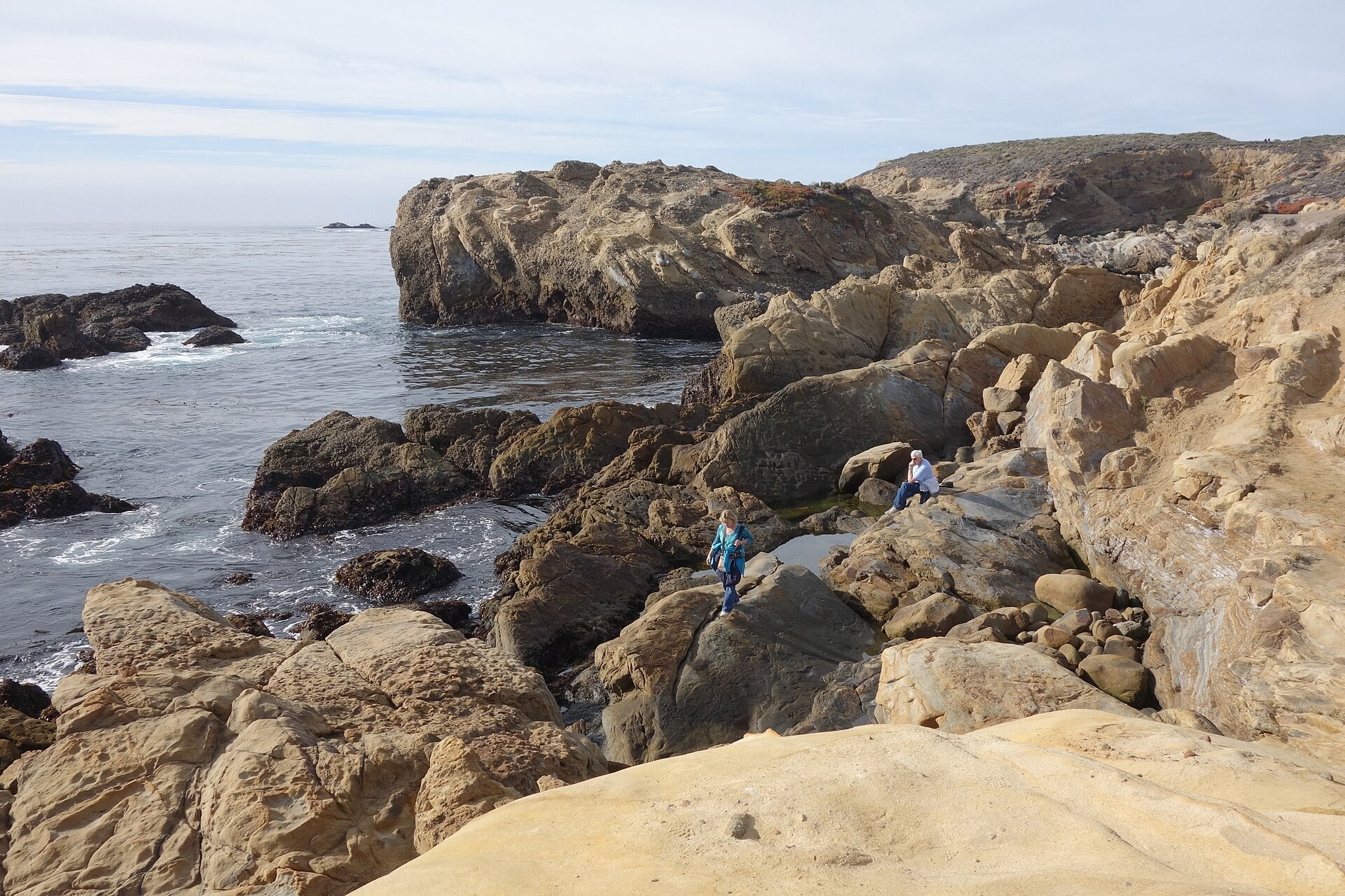 Rocky headland and cypress trees at Point Lobos State Natural Reserve on the Monterey coast