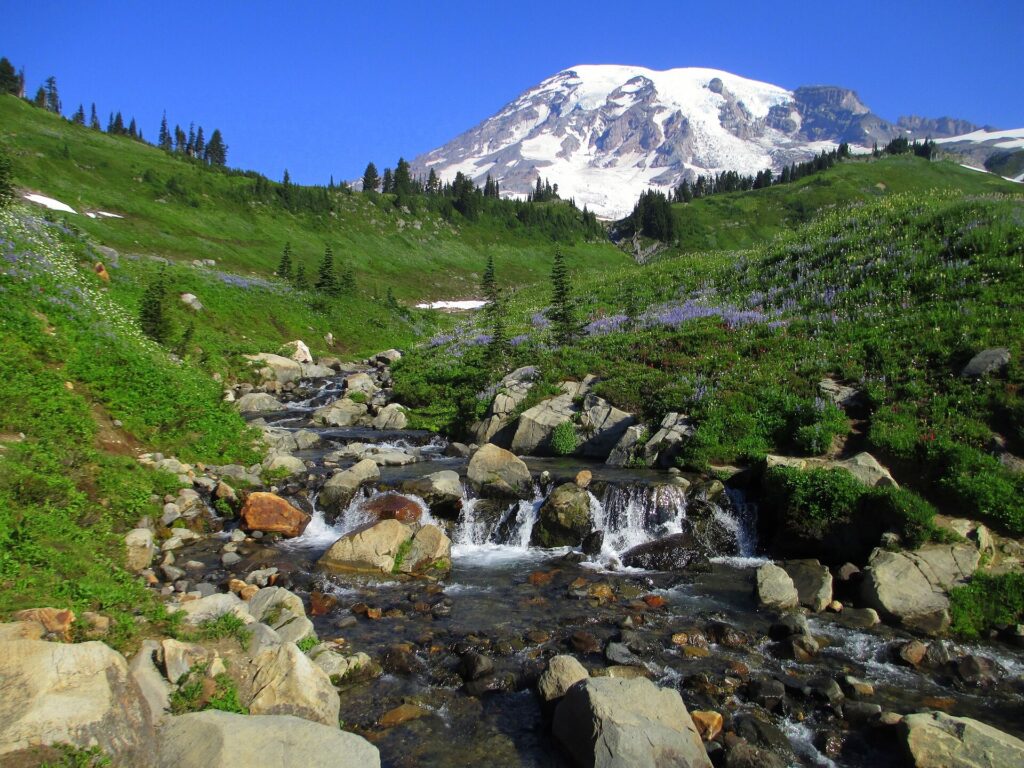 Mount Rainier seen from above Myrtle Falls on the Paradise side of Mount Rainier National Park