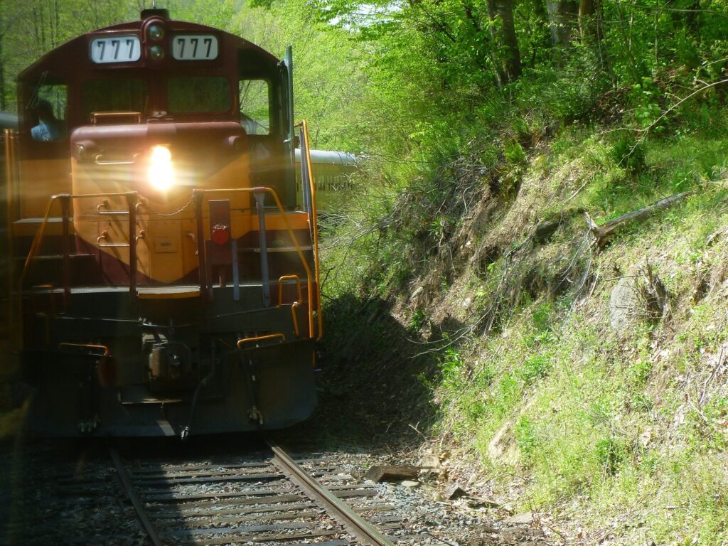 Excursion train on the Nantahala Gorge route near Bryson City, North Carolina