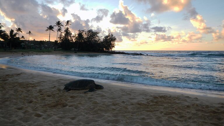 Best Time to Visit Hawaii