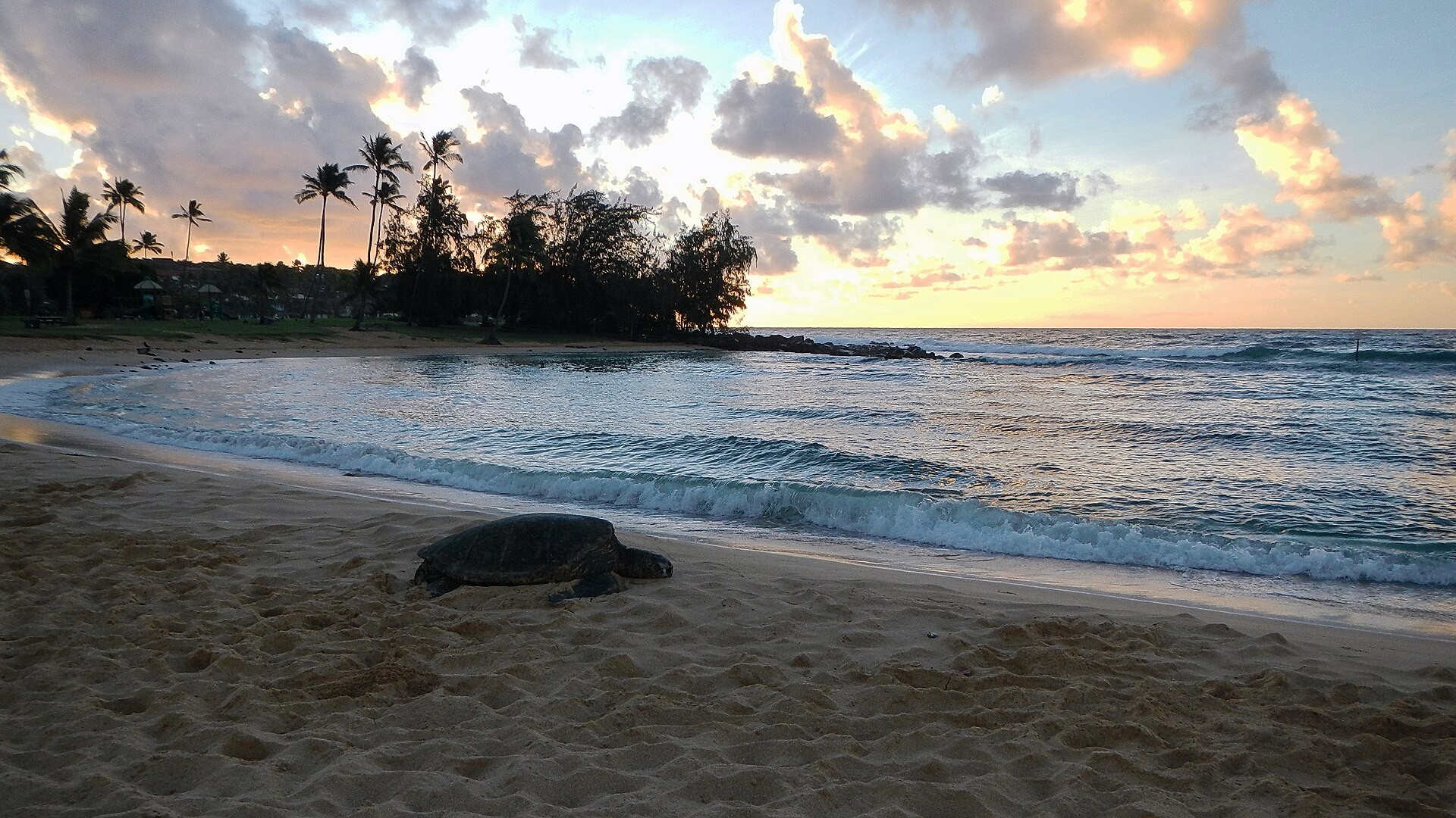 Calm south shore water and sand at Poipu Beach on Kauai