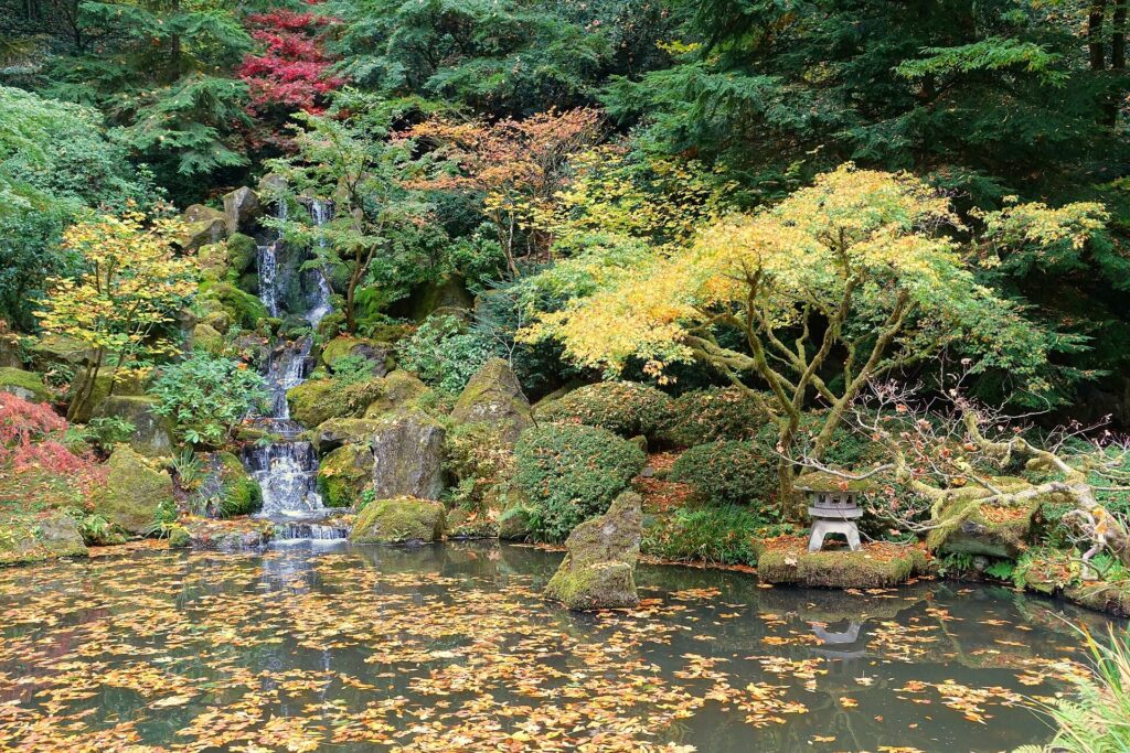 Heavenly Falls cascading into a pond surrounded by maples in the Portland Japanese Garden