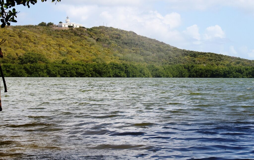 Laguna Grande lagoon with a forested headland and a small lighthouse at Las Cabezas de San Juan near Fajardo, Puerto Rico