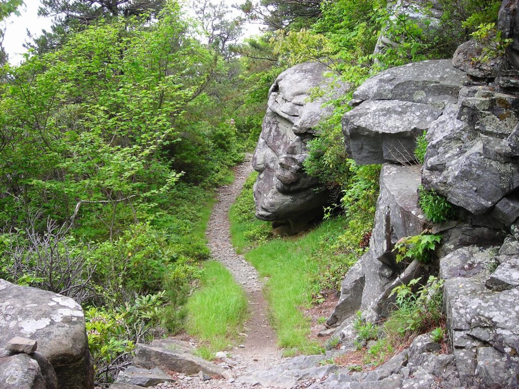 Narrow dirt trail winding between rock outcrops on Rainbow Falls Trail in Great Smoky Mountains National Park
