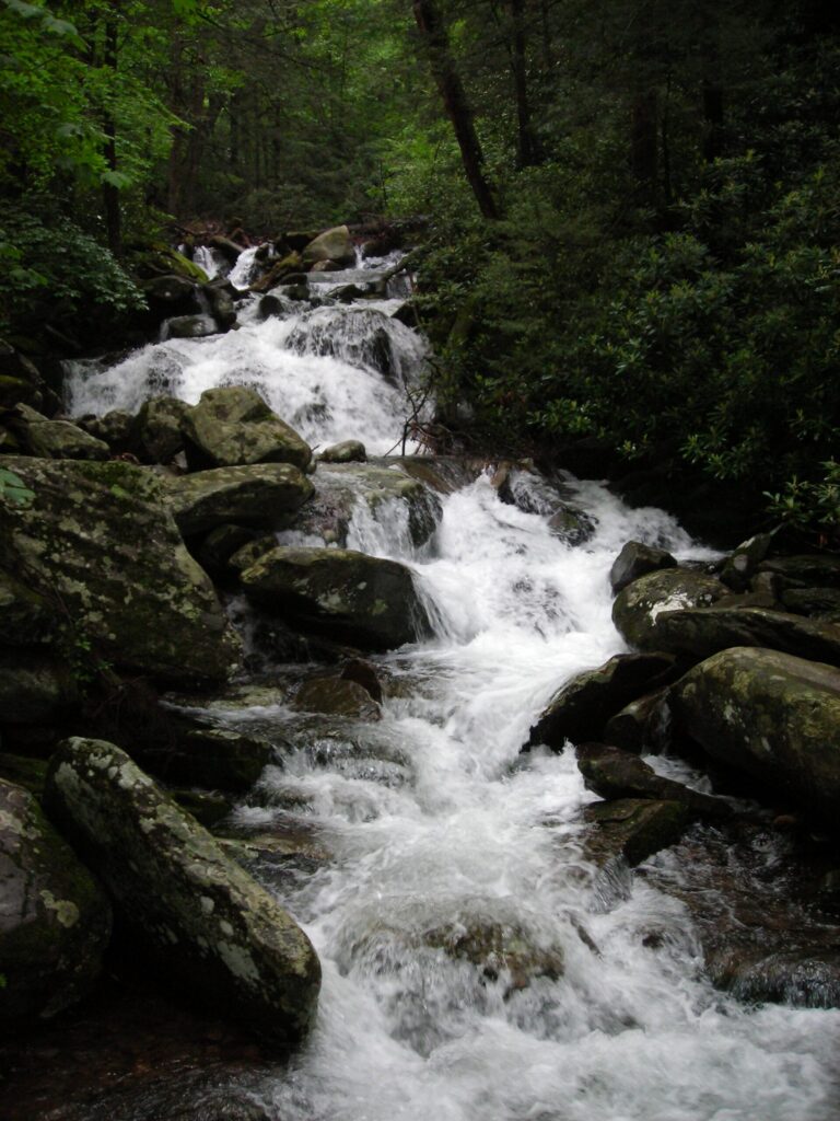 LeConte Creek rushing white over boulders after heavy rain in Great Smoky Mountains