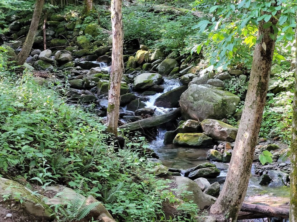 Small cascades tumbling over mossy boulders beside Rainbow Falls Trail in Great Smoky Mountains National Park