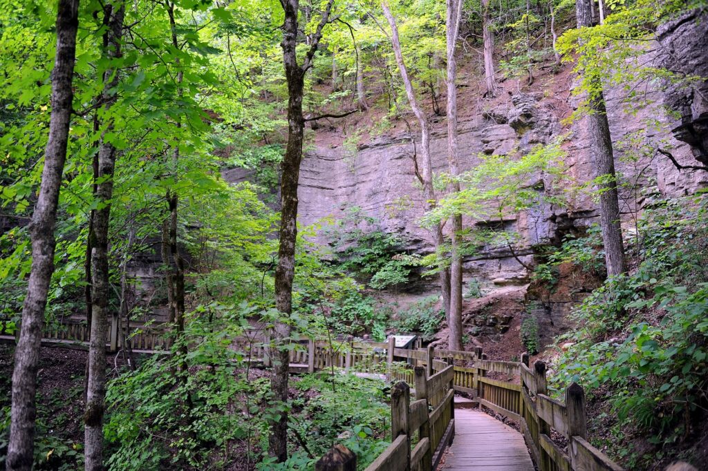Wooden boardwalk beneath a rock bluff on the Deer Leap Trail in Roaring River State Park, Missouri