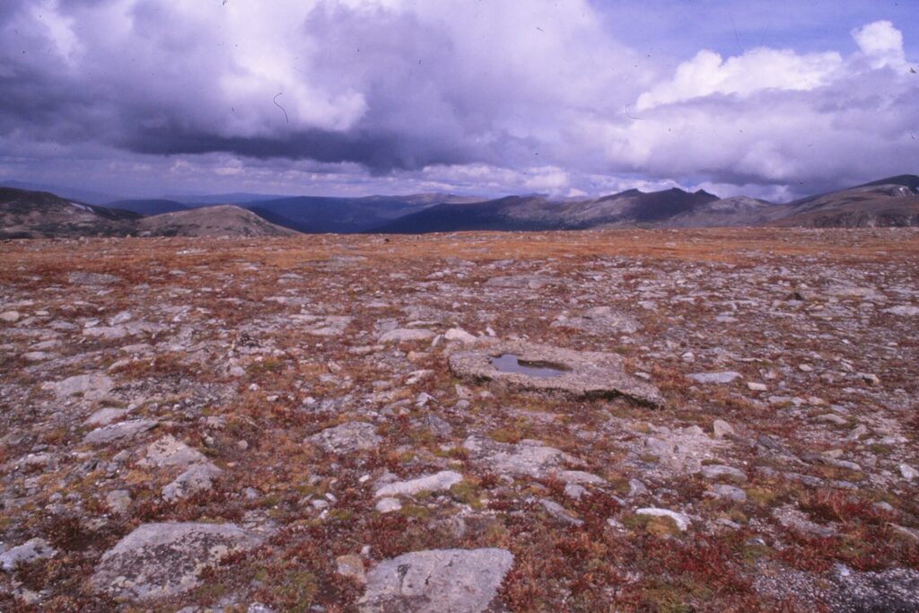Alpine tundra above the treeline along Trail Ridge Road in Rocky Mountain National Park
