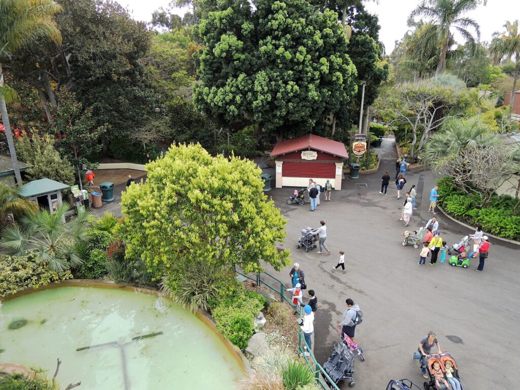 Paths, strollers and visitors seen from above inside the San Diego Zoo