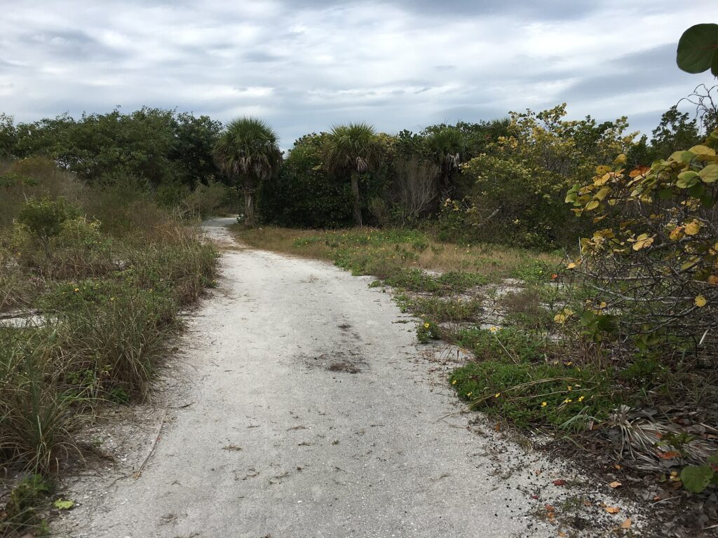 Sandy trail through beach vegetation at Bowman's Beach, Sanibel Island