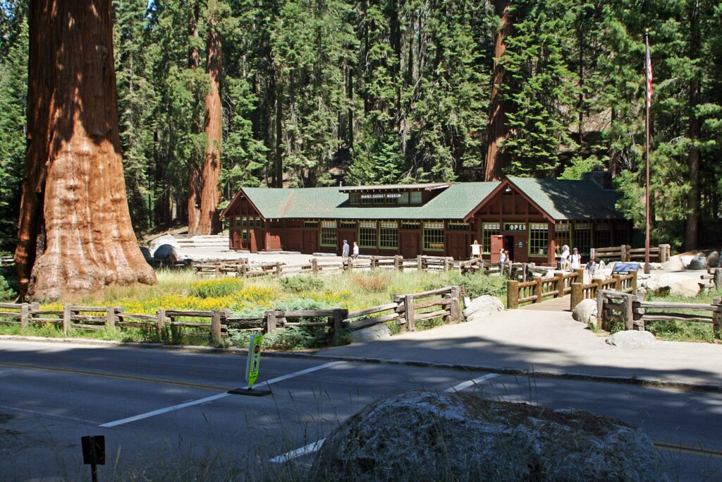 Giant Forest Museum building among giant sequoias in Sequoia National Park, California
