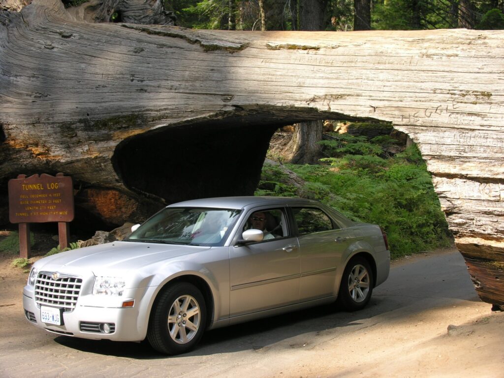 A car driving through the Tunnel Log, a fallen giant sequoia, in Sequoia National Park, California